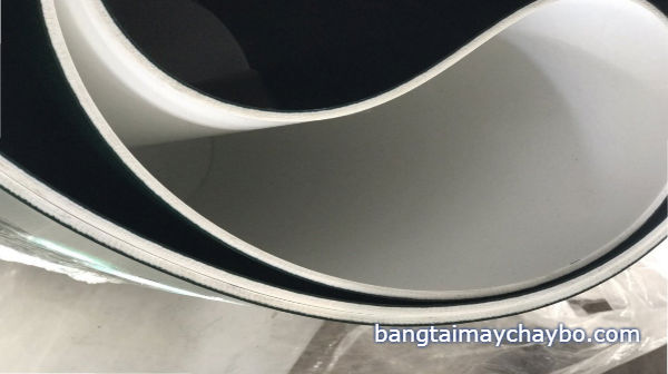 Mua băng tải tham chạy bộ băng chuyên cân lưu y những gì