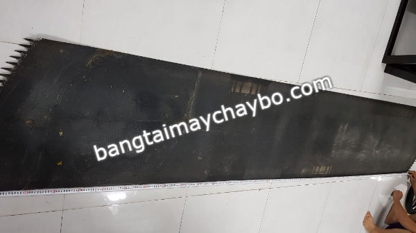 Băng tải máy chạy bộ Life fitness giá bao nhiêu tiền