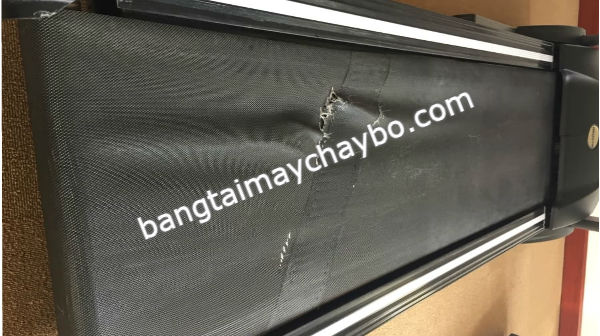 Hậu quả của việc không tra dâu silicon bôi trơn băng tải