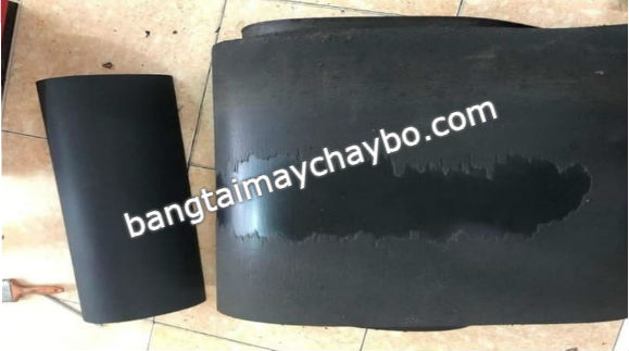 Tác hại của việc không tra dầu bôi trơn băng tải máy chạy bộ
