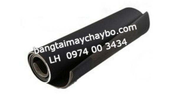 TP HCM khách hàng kén chọn băng tải máy chạy bộ vì sao