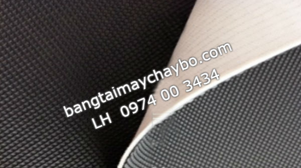 Cùng 1 loại băng tải máy chạy bộ bán ở TP HCM giá cao hơn