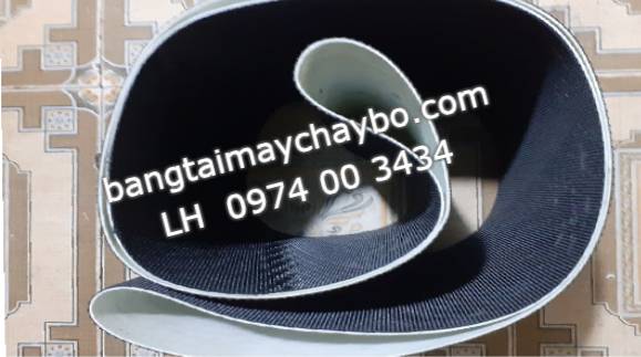 Cung cấp băng tải máy chạy bộ tại Tp Đồng Hới Quảng Bình