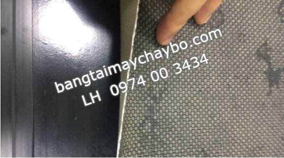 Hải Dương mua băng tải máy chạy bộ ở đâu