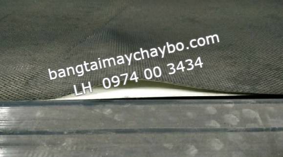Thay băng tải máy chạy bộ tại Thái Nguyên