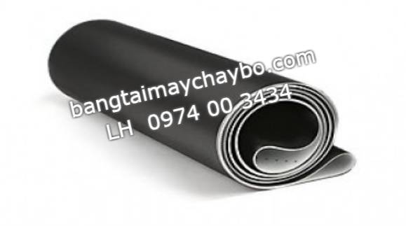 Bán và thay thảm máy chạy bộ tại Trà Vinh
