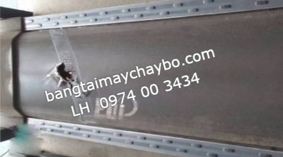 Địa chỉ bán thảm máy chạy bộ Elip và Kingsport