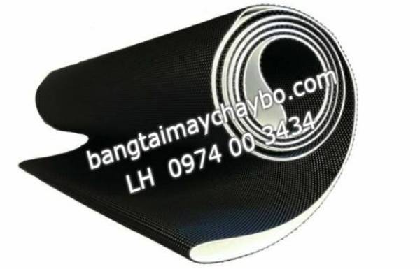 Thảm máy chạy bộ thế nào gọi là đắt ( mắc ) với rẻ 