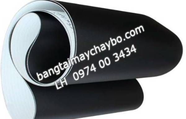 Nhiều người bán thảm chạy bộ nhưng không có chuyên môn 