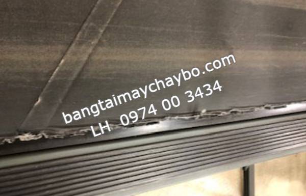 Thay băng tải máy chạy bộ tại Lạng Sơn