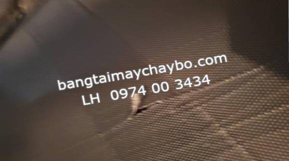 Bảo hành băng tải máy chạy bộ 6 tháng có đủ độ tin tưởng