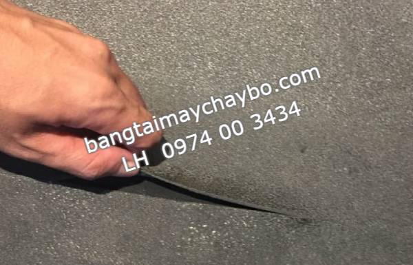 Địa chỉ thay sửa băng tải máy chạy bộ ở đâu