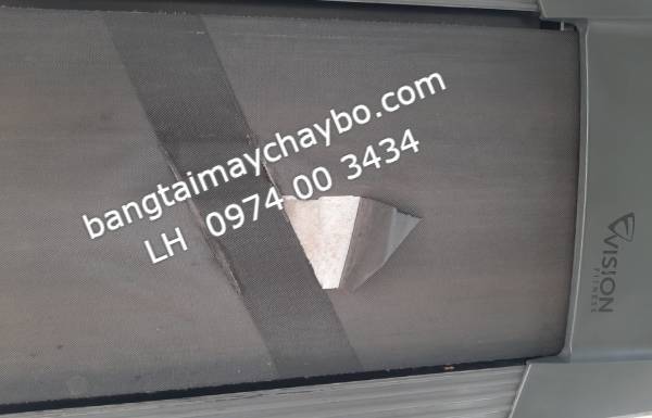 Tra dầu bôi trơn băng tải không đúng cách và cái kết đắng 