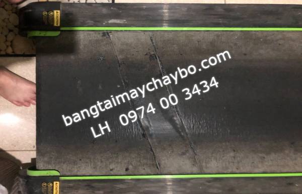 Chạy bộ 15p máy chạy bộ có hiện tượng giật khự lại ở chân