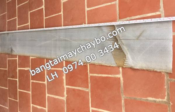 Khảo giá thảm chay trên mạng giá rẻ hơn nhưng không mua