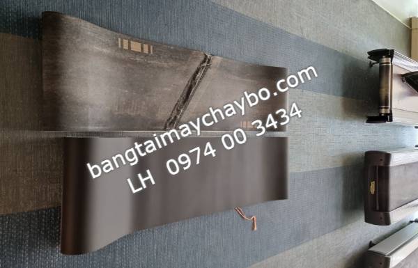 Tại sao nhiều người vẫn thích đặt băng tải theo hãng máy 