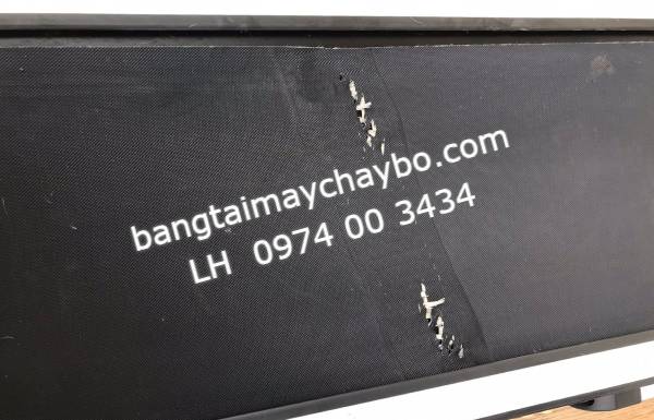 Tham rẻ đặt mua băng tải trên sàn thương mai điện tử cái kết