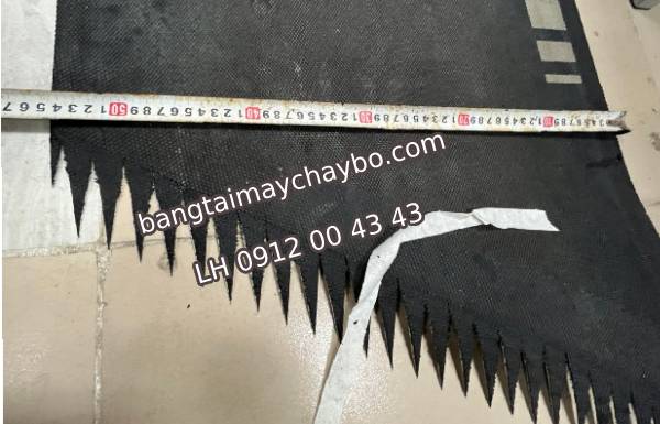 Chém gió băng tải nhập khẩu chính hãng thực tế như thế nào