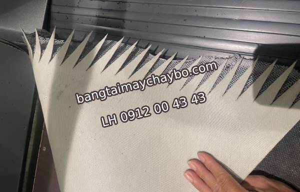 Băng tải máy chạy bộ Kingsport