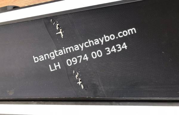 Địa chỉ sửa chữa băng tải máy chạy bộ giá rẻ uy tín ở đâu